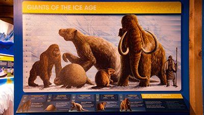 Ice Age Animals | Answers in Genesis