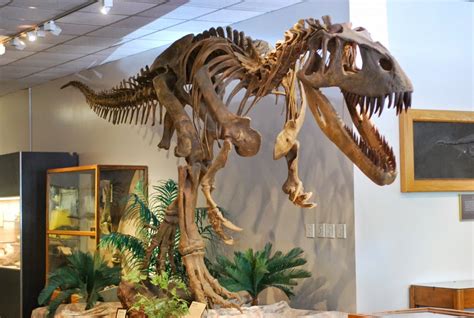BioOrbis: Gigante Jurássico: Torvosaurus