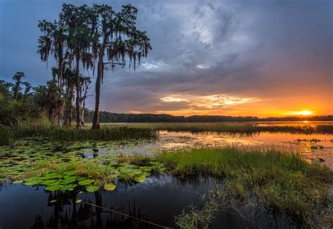 Lake Louisa State Park | Florida State Parks