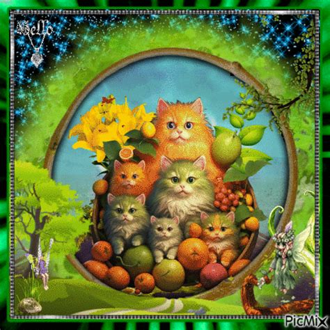 Des fruits et amis les chats - GIF animé gratuit - PicMix