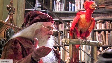 Dumbledore actor thought Fawkes prop was real in Chamber of Secrets