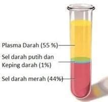 Plasma Darah : Definisi, Komposisi, Jenis, Fisiologi, Patofisiologi & Farmakologi