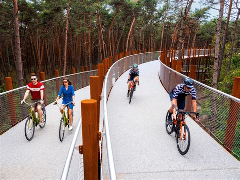 A circular cycling track offers unobstructed views of a Belgian forest