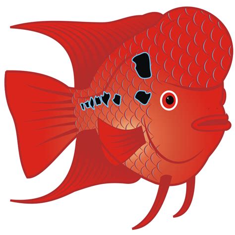 goldfish png - Clip Art Library