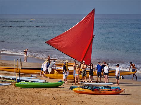 The Adventures of Maui Don - Dolphin Dude: Maui Beach Activities