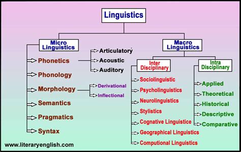 Branches of Linguistics | Micro vs Macro Linguistics - Literary English