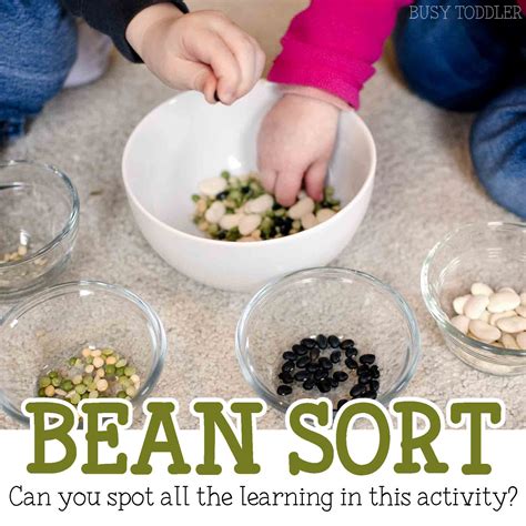 Bean Sort Easy Activity - Busy Toddler