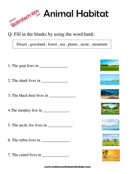 Grade 3 Tundra Habitats Worksheet