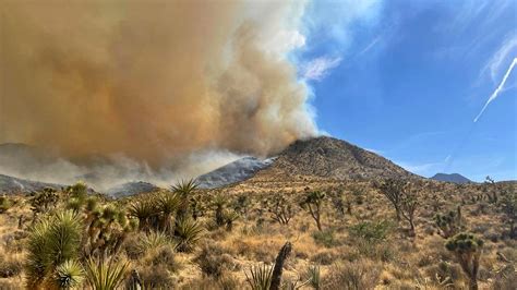 California’s Largest Wildfire of the Year Sweeps Across the Mojave - The New York Times