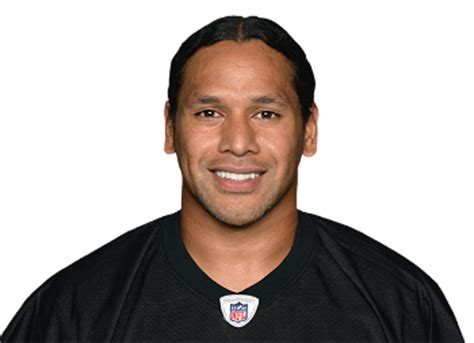 Troy Polamalu Stats - ESPN