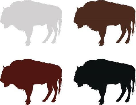 3,000+ Bison Silhouette Stock Illustrations, Royalty-Free Vector ...