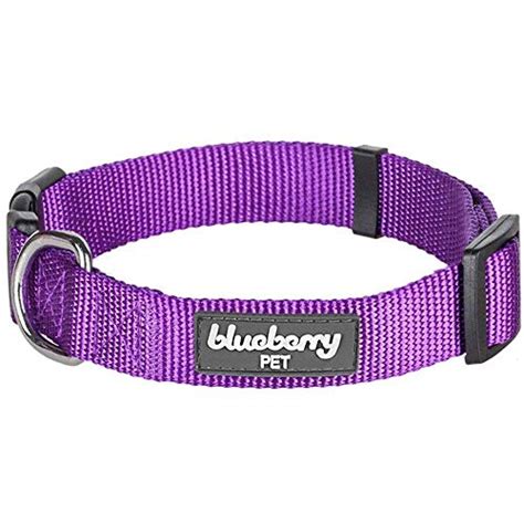 Blueberry Pet Essentials 22 Colors Classic Dog Collar, Dark Orchid ...