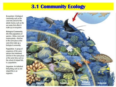 3.1 Community Ecology