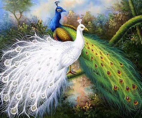 Gorgeous Peacock, forest, art, bird, peacock, flowers, waterfall, white ...