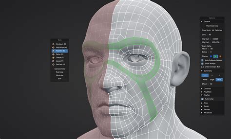 RetopoFlow 2.0: Rebuilding a Blender Add-On From Scratch - CG Cookie