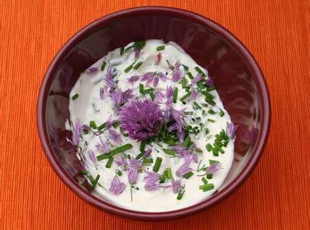 Sour cream: Cooking Wiki