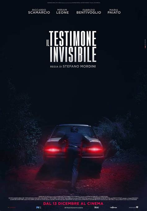 The Invisible Witness (2018)