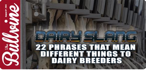 Dairy Slang