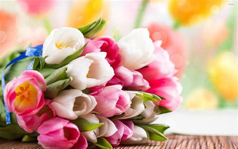 Pink and white tulips wallpaper - Flower wallpapers - #27152