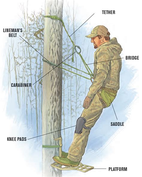 Tips Tree Planting's Guide to Saddle Hunting for Bowhunters - Tips Tree ...