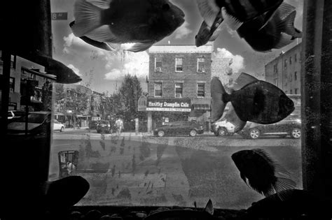 In a Brooklyn Chinatown, One Chance to Get the Shot - Children on a bus traveling along Eighth ...