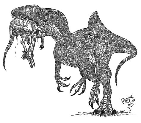 Concavenator по HodariNundu на deviantart Dinosaur Sketch, Dinosaur ...