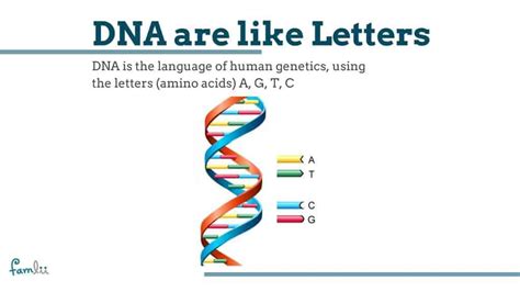 DNA are letters - Famlii