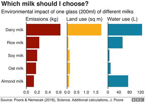 Got Milk? America’s Favorite Dairy Beverage, Explained – The Port Press