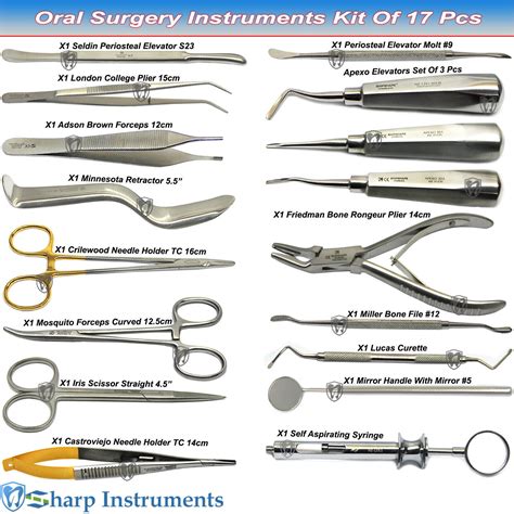 17 PCS Oral Surgery Instruments Kit Elevator 77R Bone Rongeur Molt Syringe Set | eBay