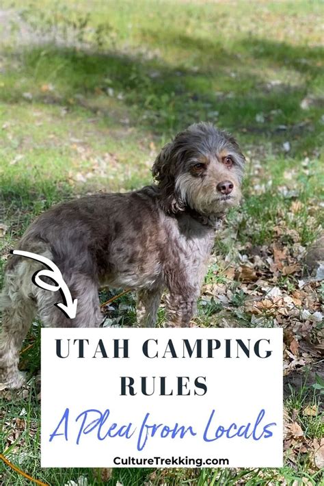 Rules of Camping In Utah | A Plea From Locals