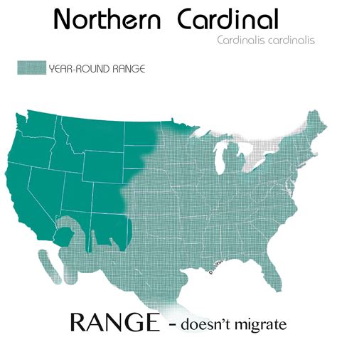 Range for Male Cardinal | Northern cardinal, Cardinal, World map