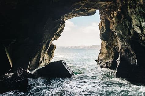 La Jolla San Diego: cosa vedere fra spiagge, grotte e La Jolla Cove