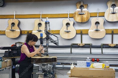 Guitar factory - Stock Image - C023/4791 - Science Photo Library