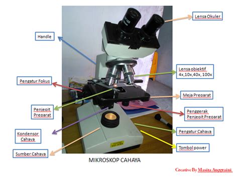 Woman, Heart and Science: MIKROSKOP CAHAYA