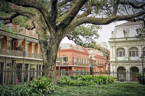 New Orleans Garden District Tour - New Orleans | Project Expedition