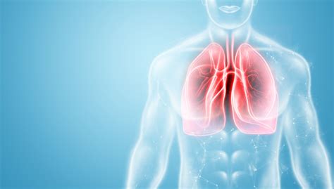 The Art of Chest Percussion for Respiratory Wellness - AirPhysio