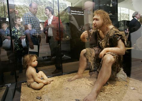 What Will Humans Look Like 10,000 Years From Now? | IBTimes