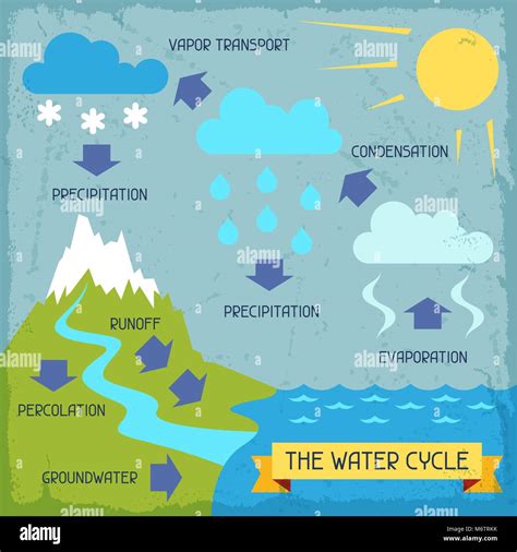 The water cycle. Poster with nature infographics in flat style Stock Vector Image & Art - Alamy