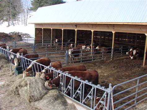 The doors at the end of the barn close in the shop and a two-pen ...