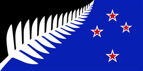 What do you think? - Complicated? - Silver Fern Flag