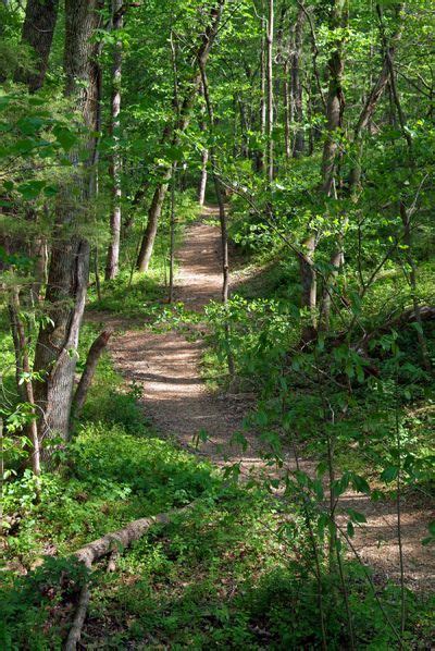 hiking trails near charlottesville va - debargefaruolo