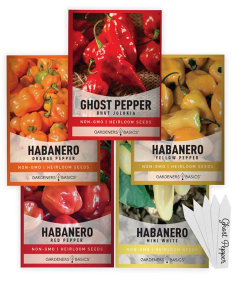 Spicy Pepper Seeds Variety – 5 Heirloom & Non-GMO Hot Pepper Seeds – Gardeners Basics