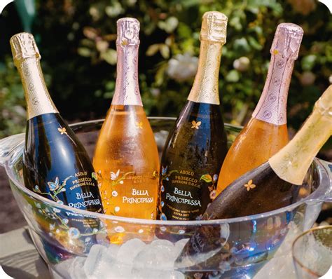 Prosecco DOC 101: Essential Guide to Italy's Bubbly Treasure