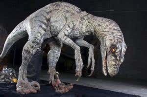 Velociraptor's 'killing' claws were for climbing | New Scientist