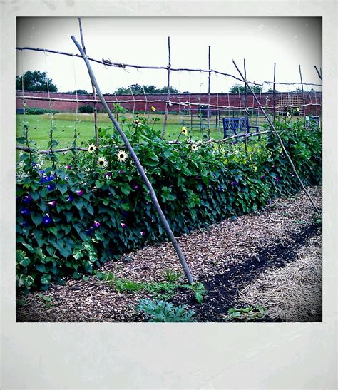 Celena Beech Photography: Walled Garden at Attingham Park