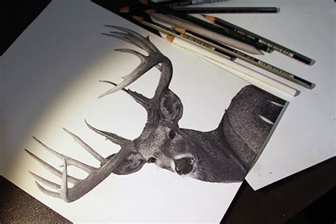 Trophy Buck - Graphite Pencil Drawing by Julio Lucas :: Behance