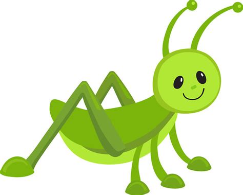 Grasshopper clipart primary consumer, Grasshopper primary consumer Transparent FREE for download ...