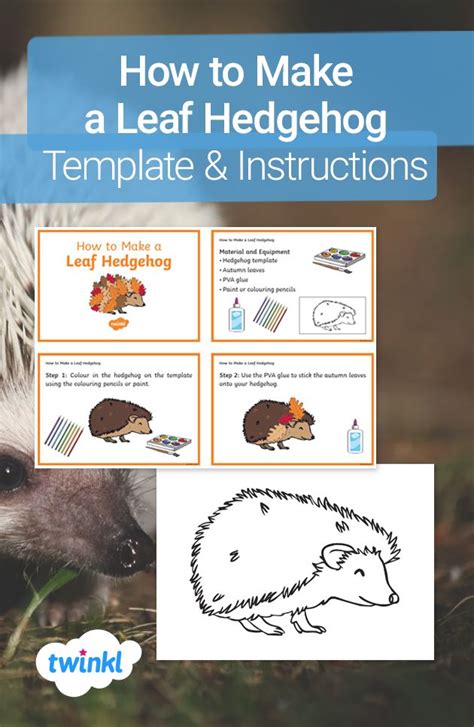 How to Make a Leaf Hedgehog Template & Instructions | Hedgehog template, Hedgehog craft, Animal ...