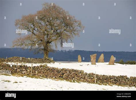 Nine Stones Close standing stones at Harthill Moor in the Derbyshire ...