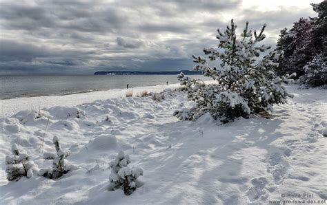 Winter an der Ostsee | Greifswalder Net